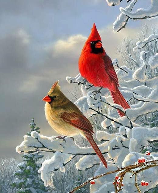 Unseened small birds Rare photos