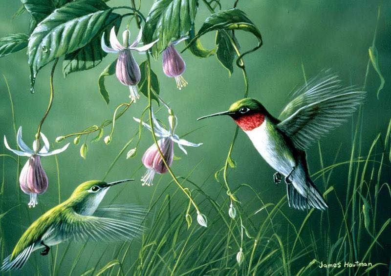 Unseened small birds Rare photos