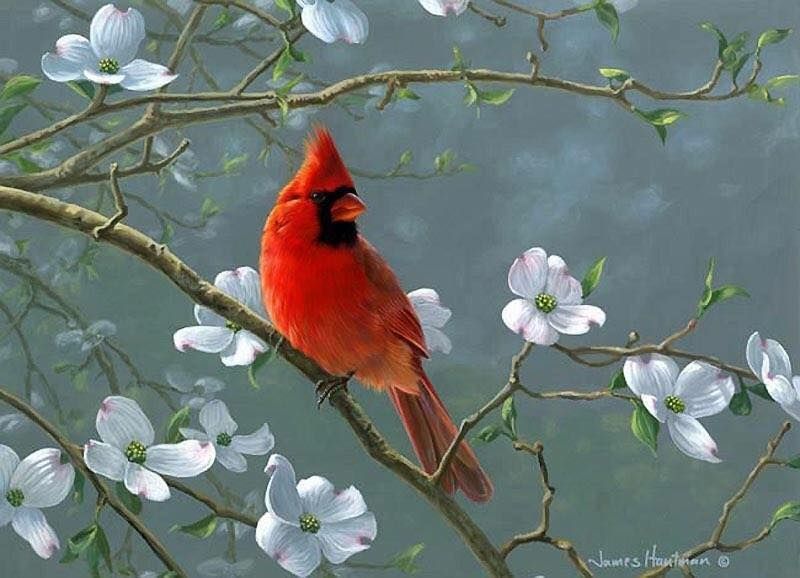 Unseened small birds Rare photos