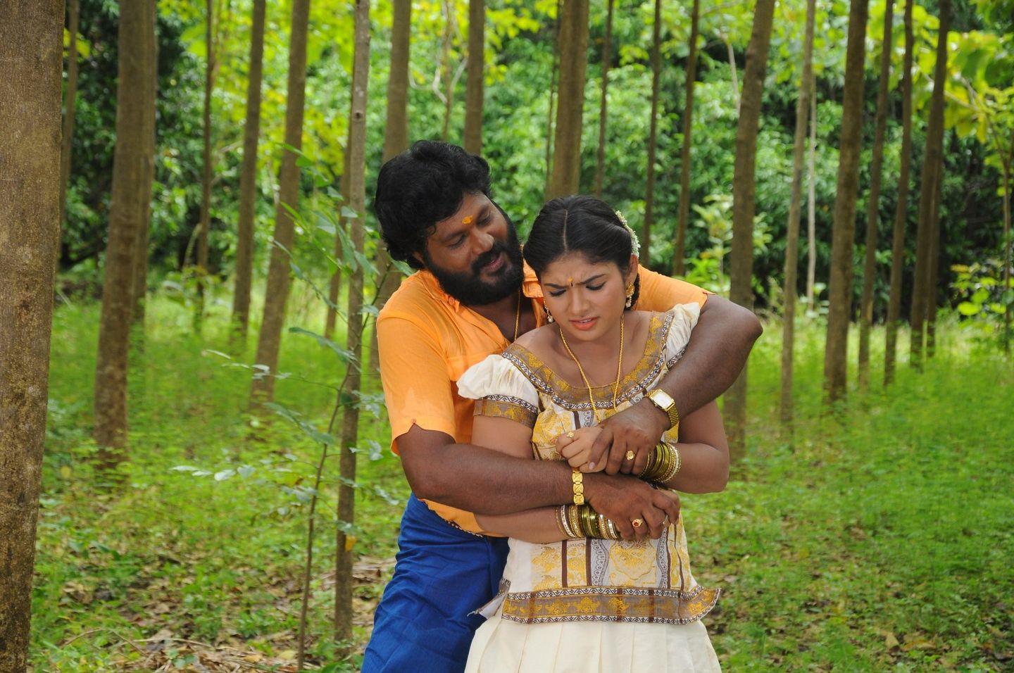 Virudhachalam Movie Stills