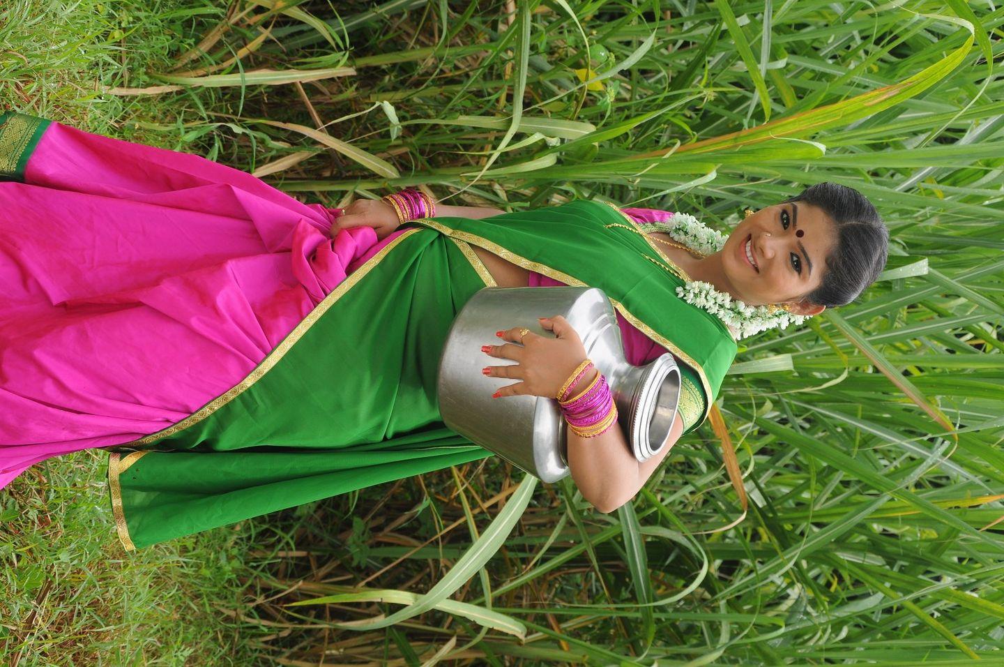 Virudhachalam Movie Stills