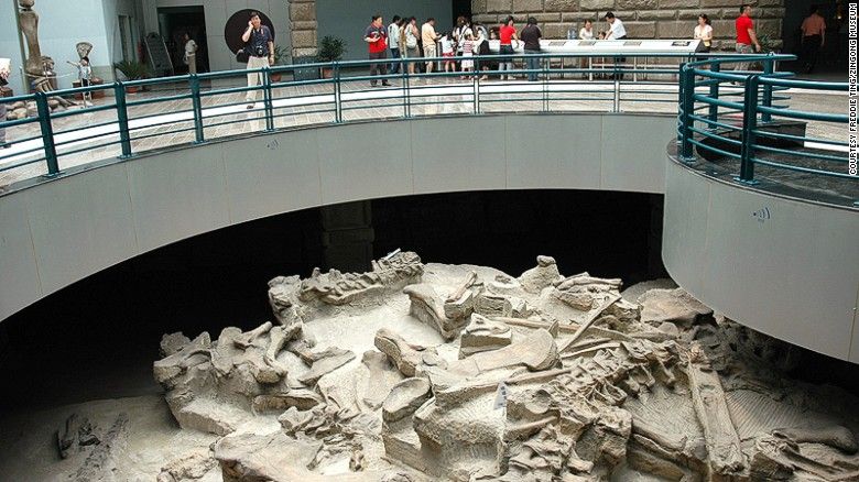 World Best Dinosaur Museums