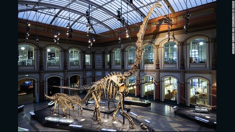 World Best Dinosaur Museums