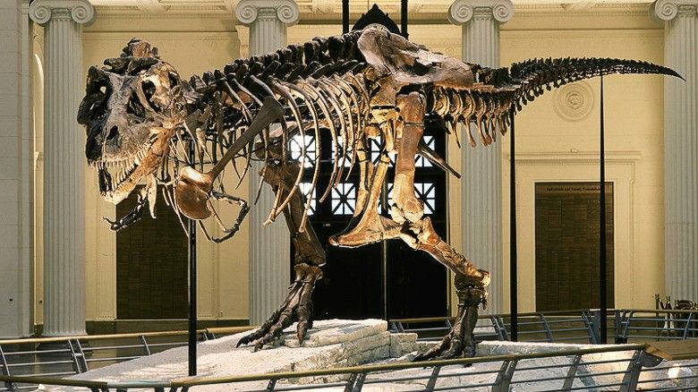 World Best Dinosaur Museums