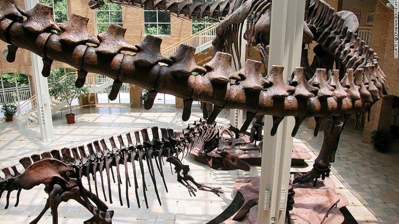 World Best Dinosaur Museums