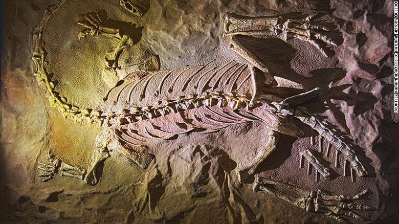 World Best Dinosaur Museums