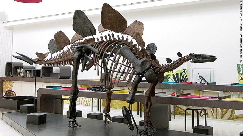 World Best Dinosaur Museums