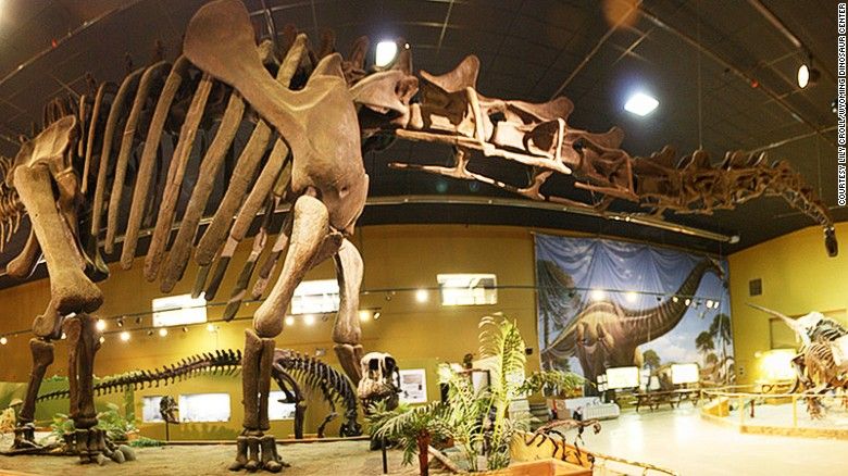 World Best Dinosaur Museums