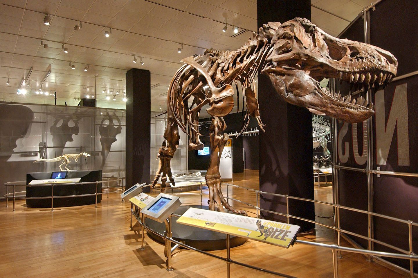 World Best Dinosaur Museums