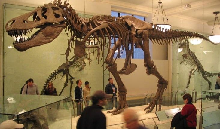 World Best Dinosaur Museums
