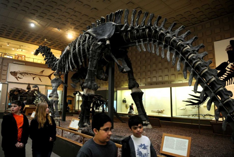World Best Dinosaur Museums