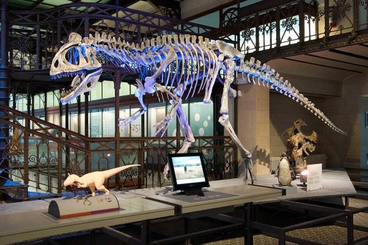 World Best Dinosaur Museums
