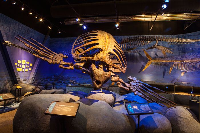 World Best Dinosaur Museums