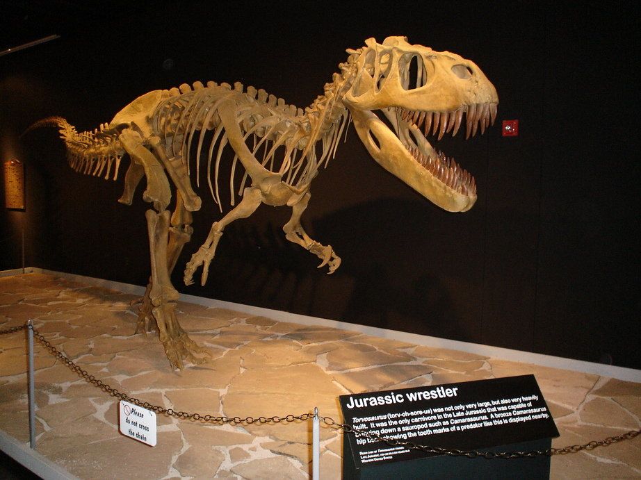 World Best Dinosaur Museums