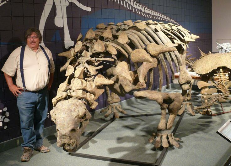 World Best Dinosaur Museums