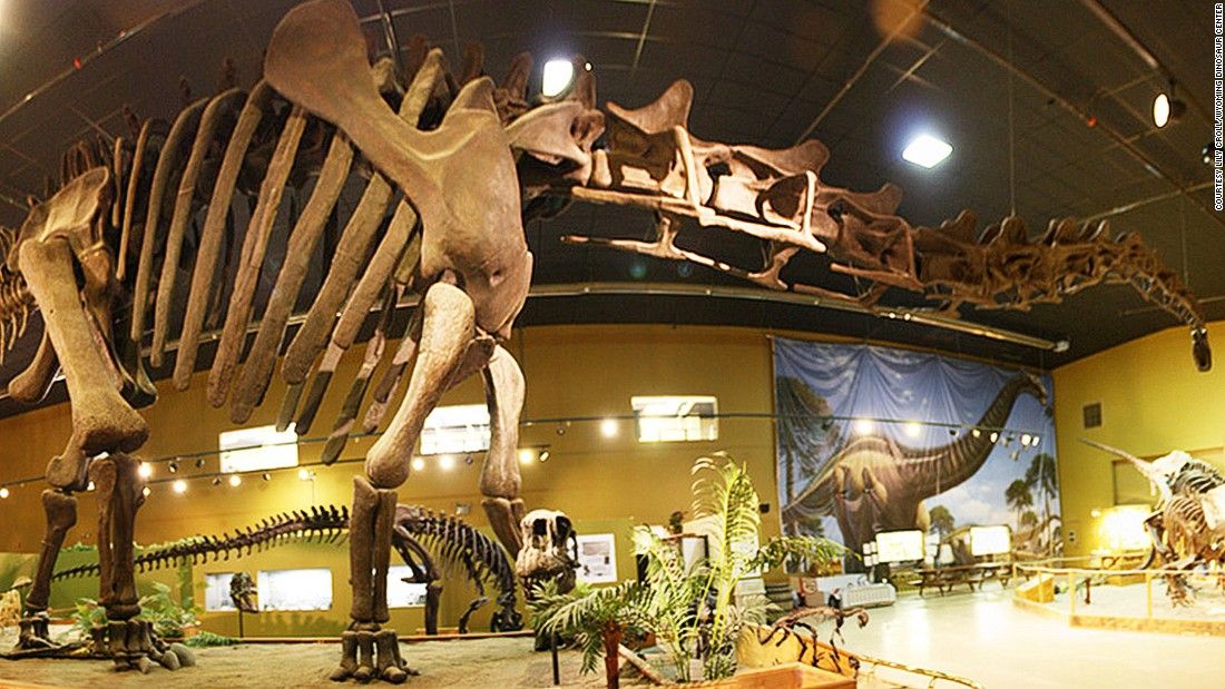 World Best Dinosaur Museums