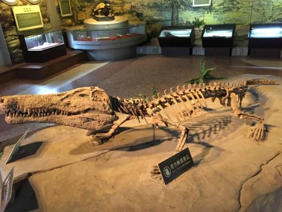 World Best Dinosaur Museums