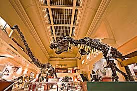 World Best Dinosaur Museums