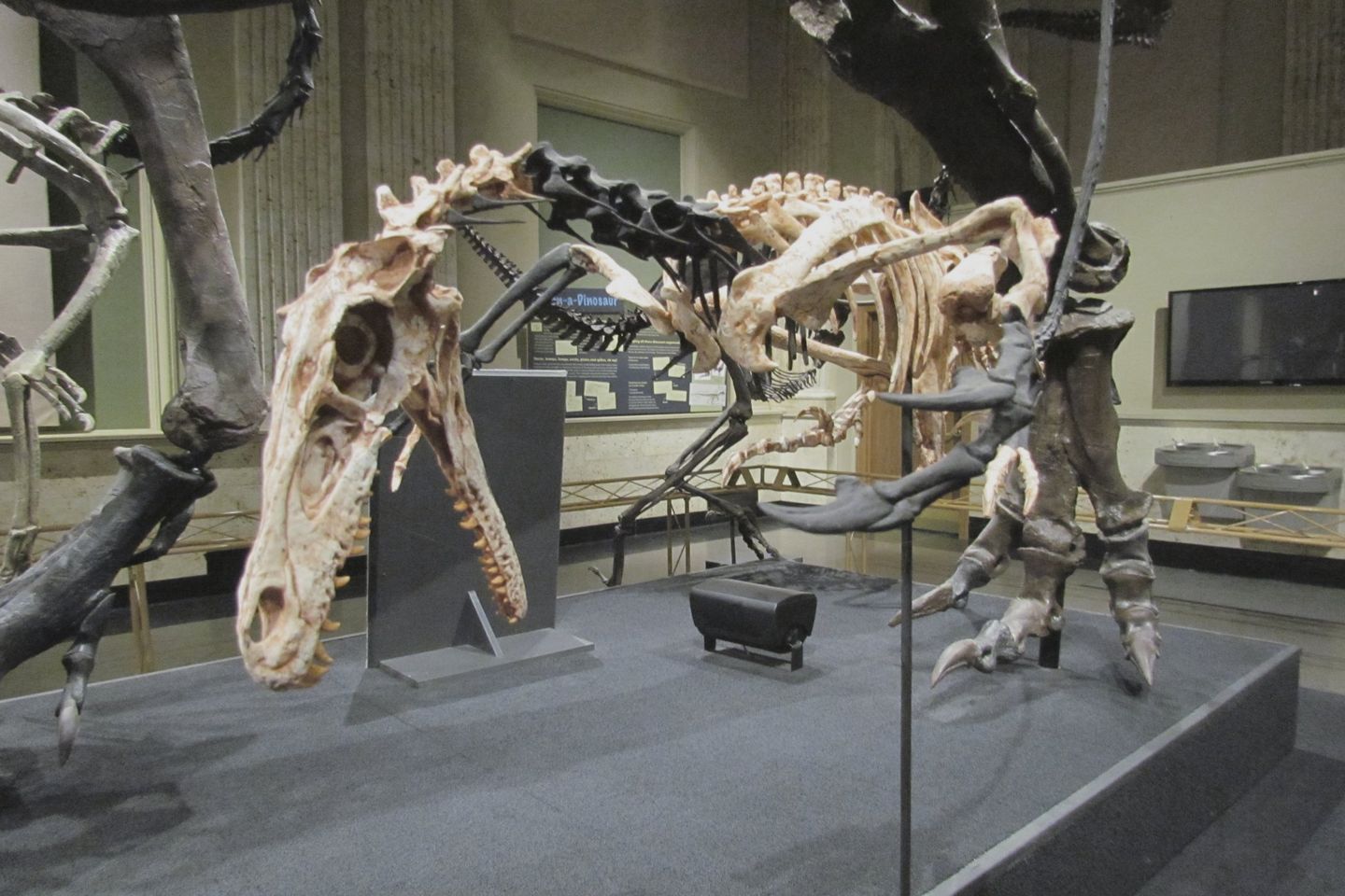 World Best Dinosaur Museums