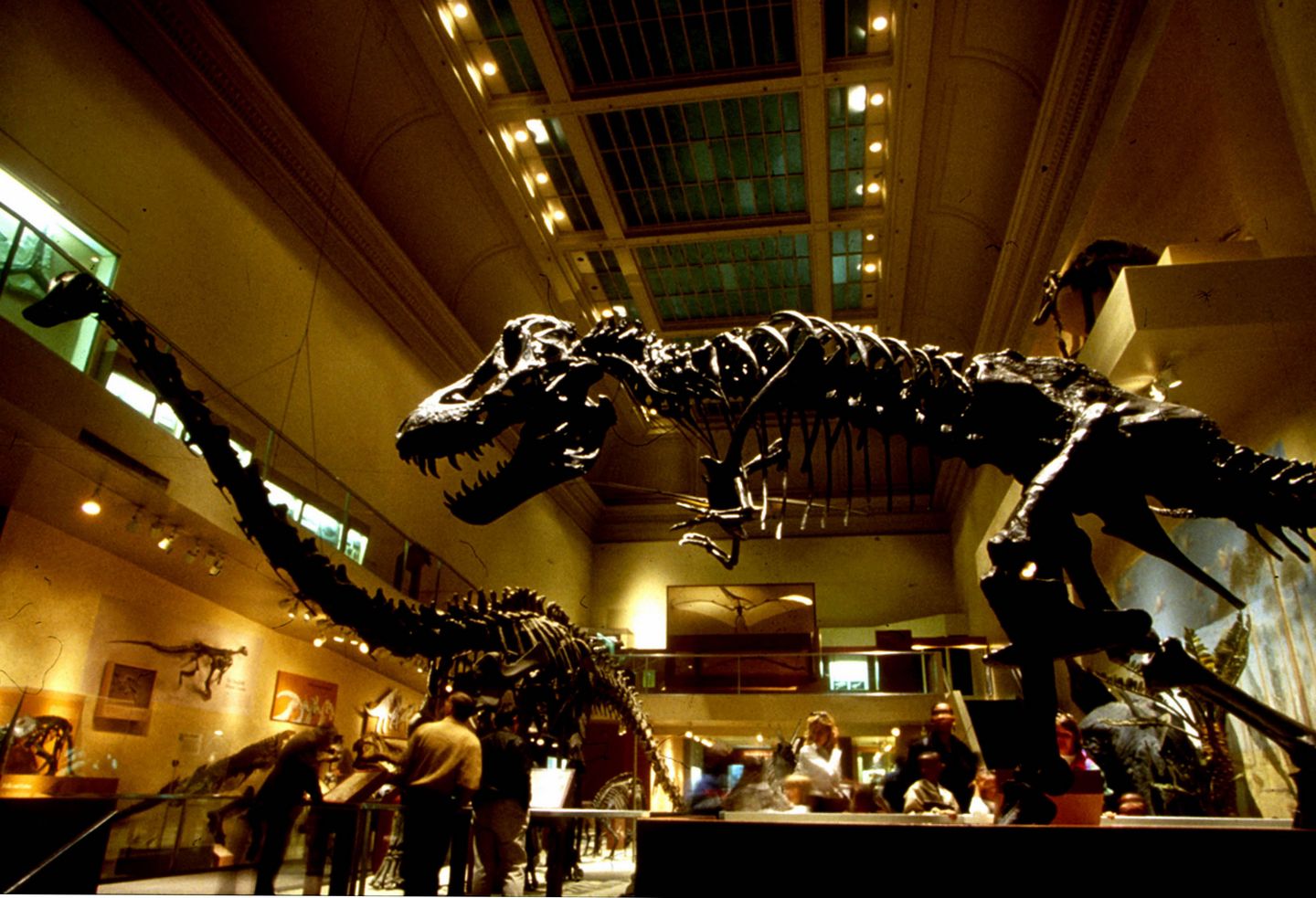 World Best Dinosaur Museums