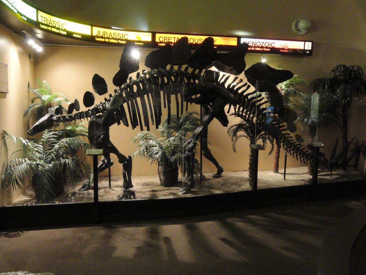 World Best Dinosaur Museums