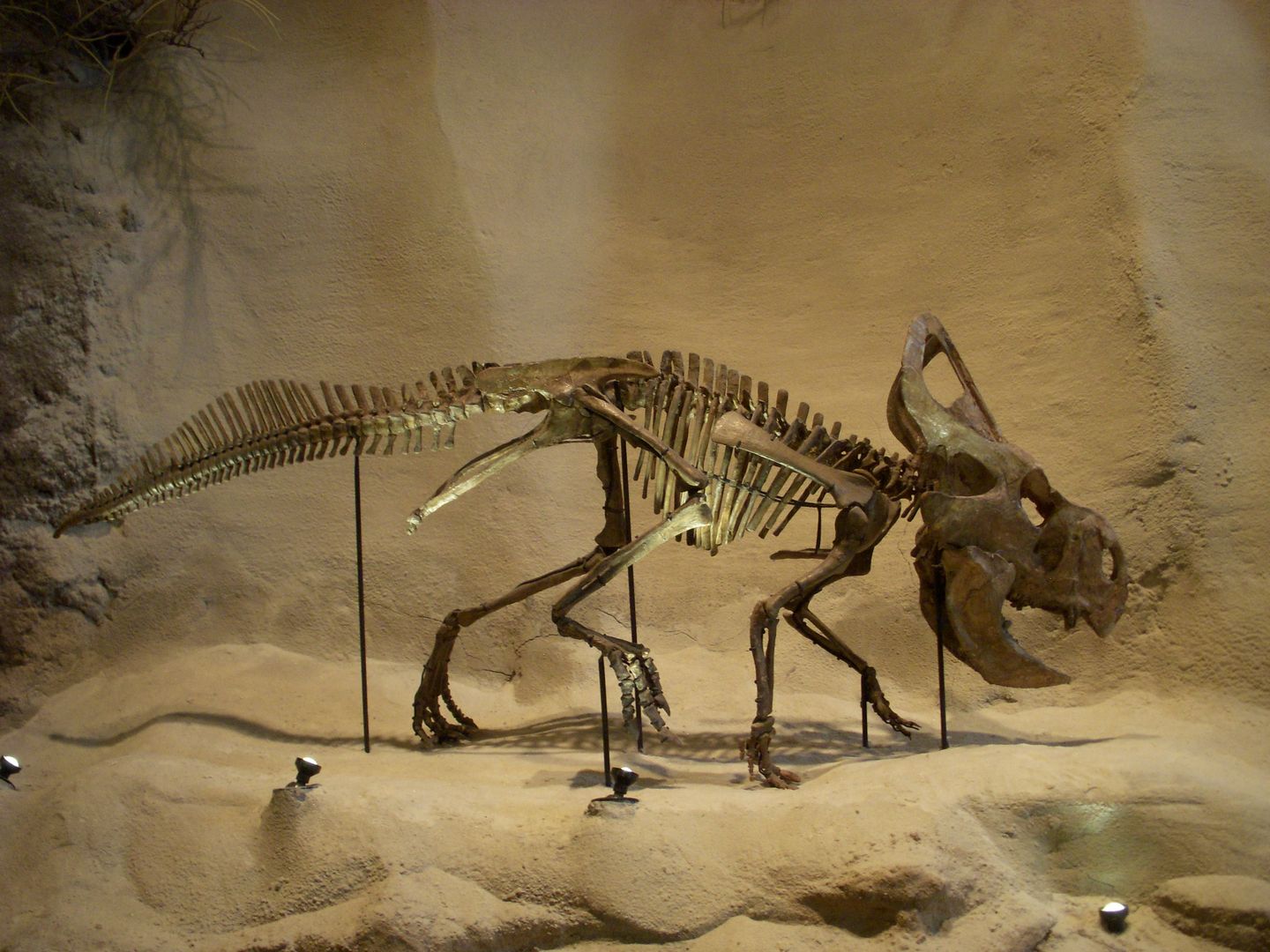 World Best Dinosaur Museums
