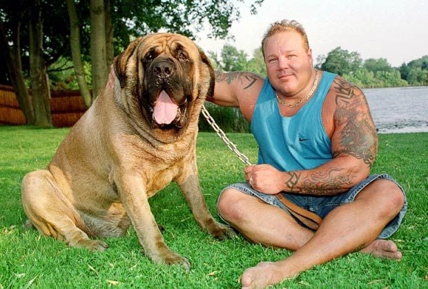 World Biggest Dogs Photos