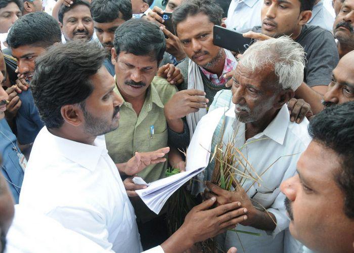 YS Jagan Praja Sankalpa Yatra Photos