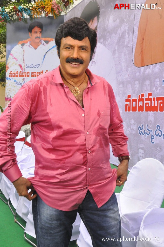 EXCLUSIVE: Balakrishna Birthday Celebration Photos