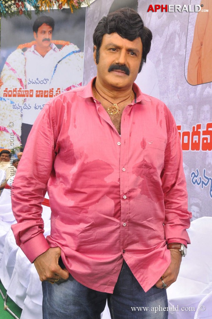 EXCLUSIVE: Balakrishna Birthday Celebration Photos