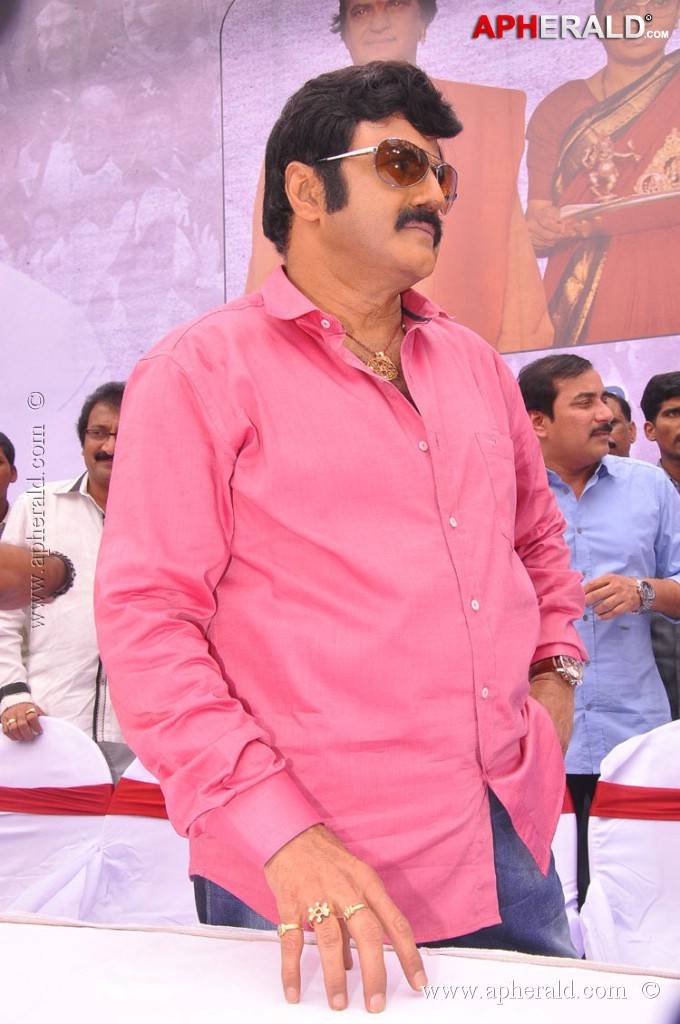 EXCLUSIVE: Balakrishna Birthday Celebration Photos