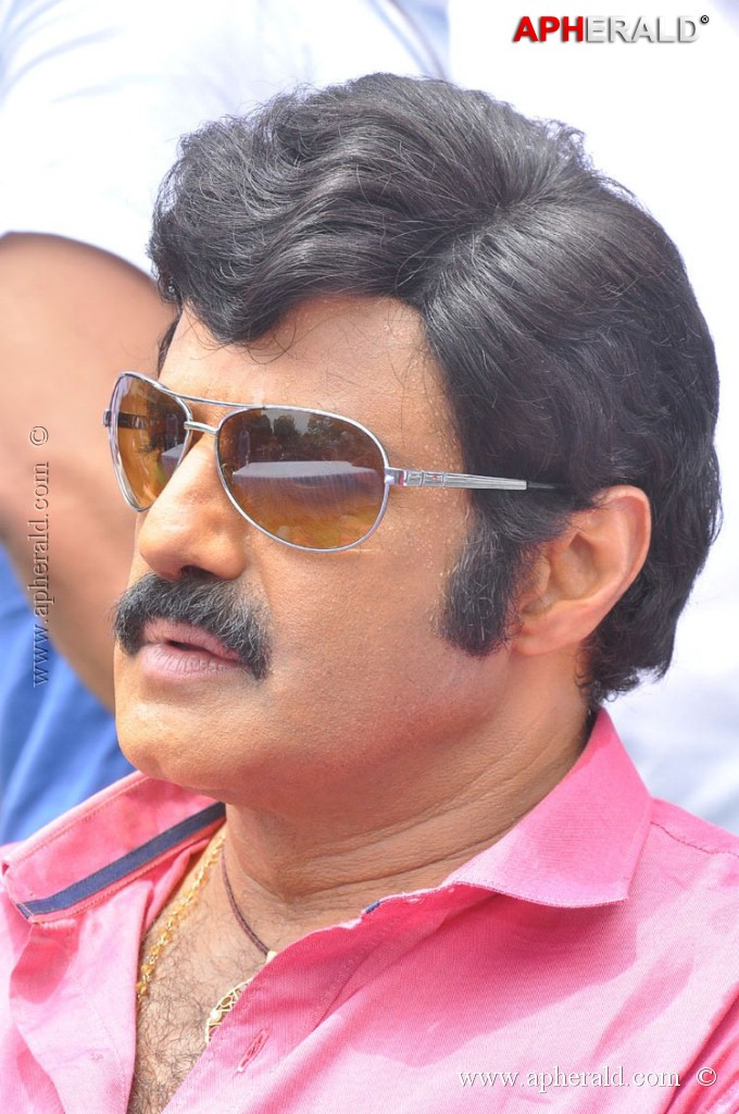 EXCLUSIVE: Balakrishna Birthday Celebration Photos