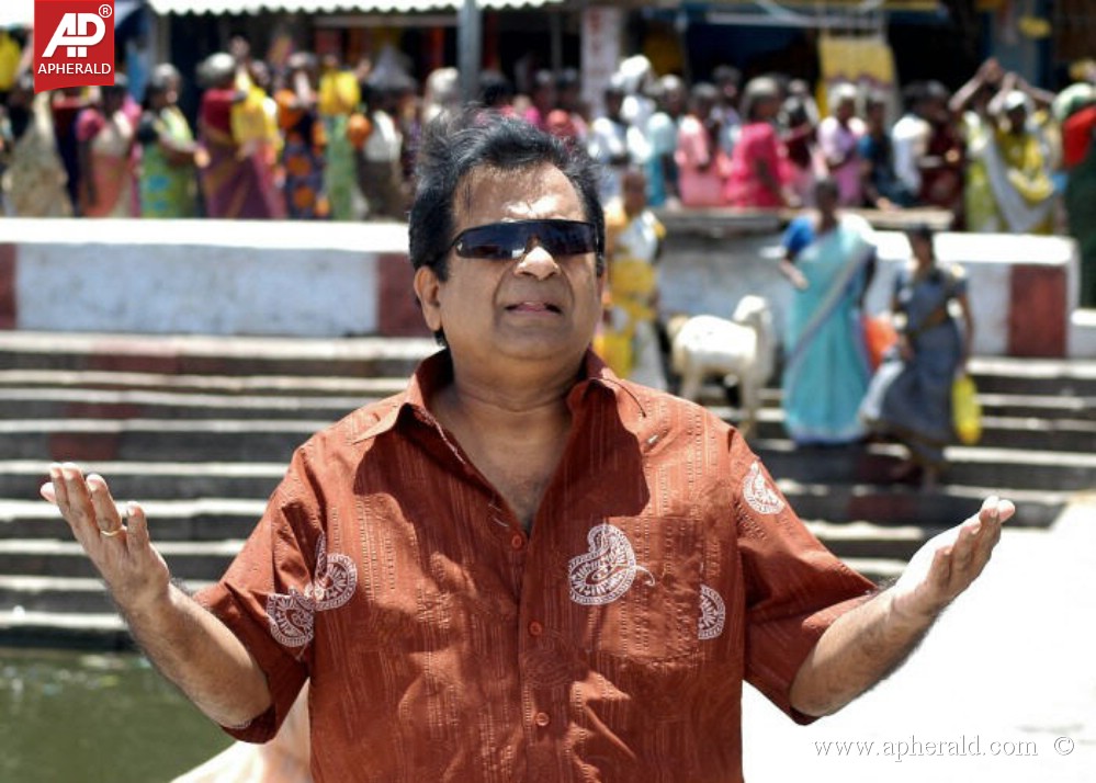 Comedy Actor Brahmanandam Stills