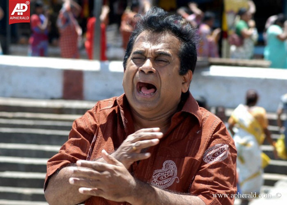 Comedy Actor Brahmanandam Stills