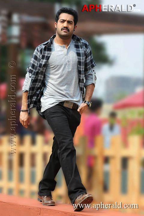 Jr Ntr Latest Stills