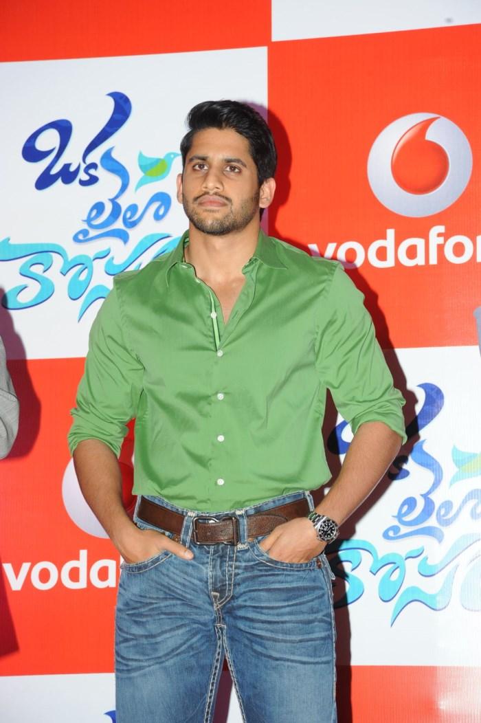Naga Chaitanya New Gallery