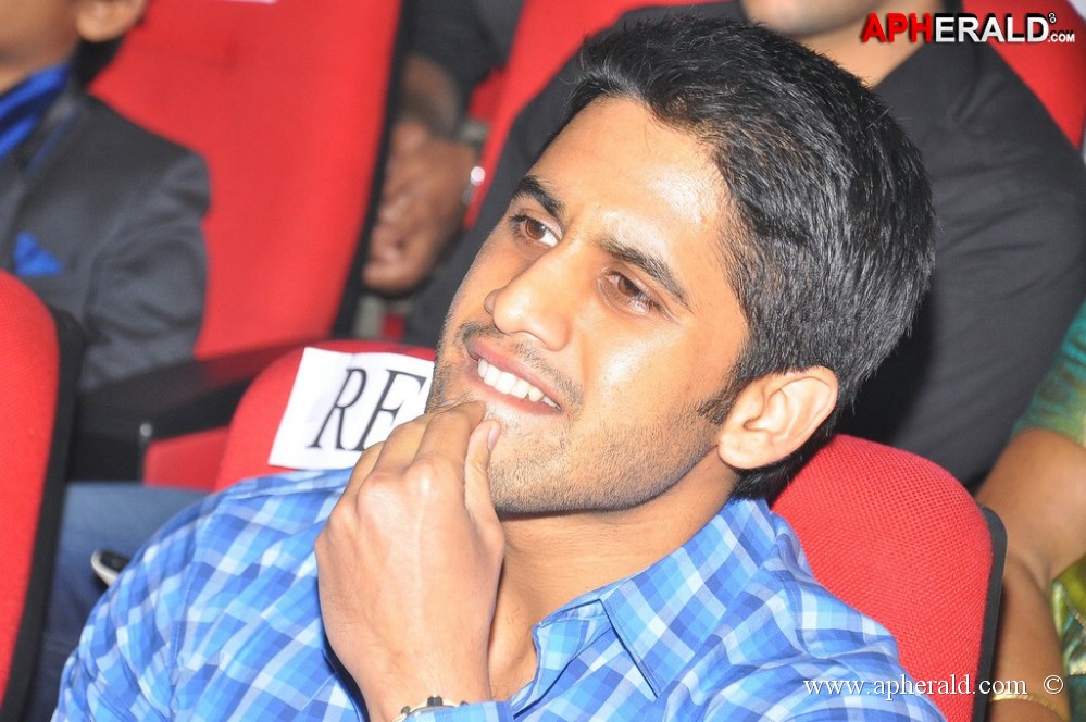 Naga Chaitanya new gallery