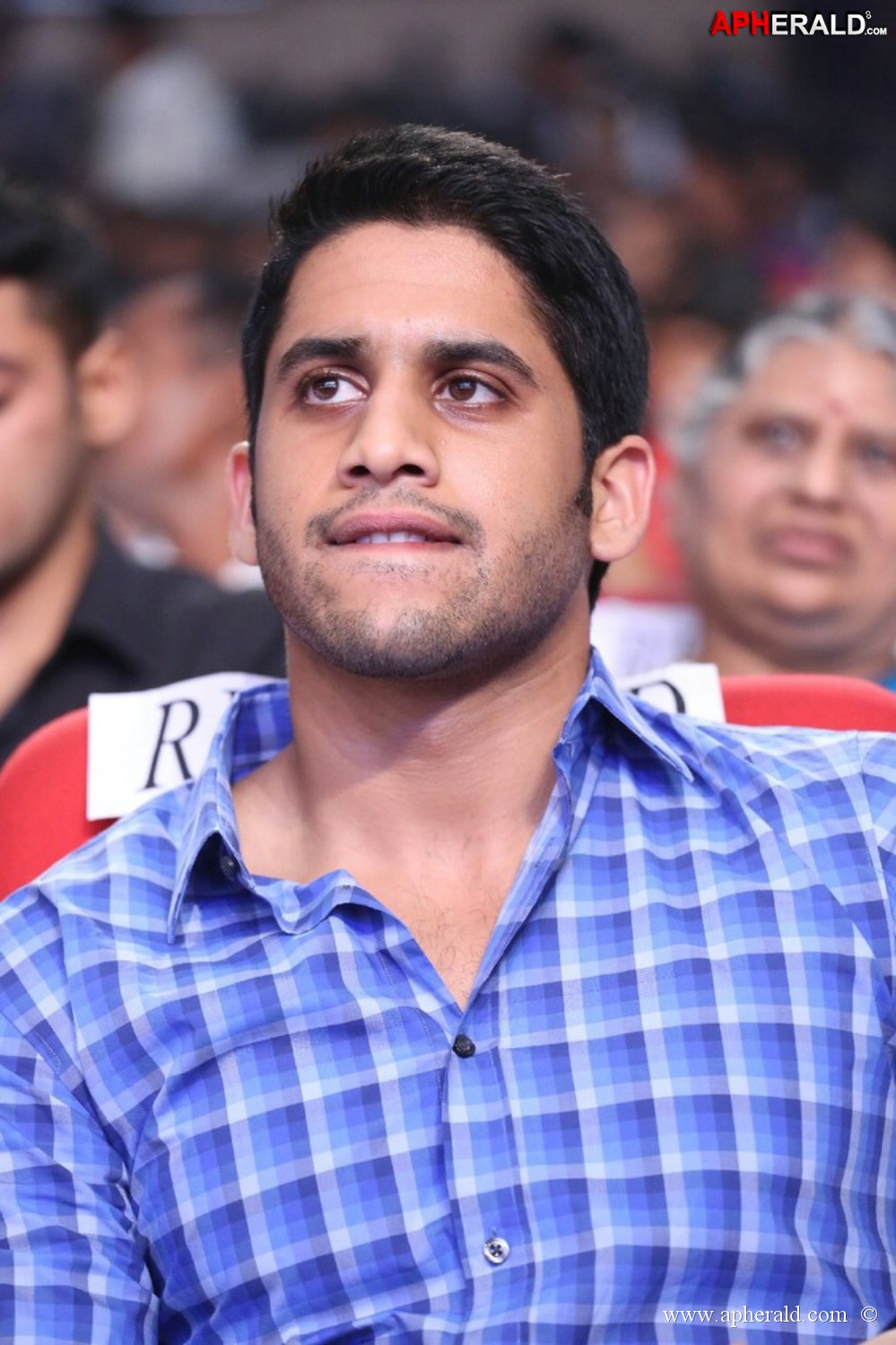 Naga Chaitanya new gallery
