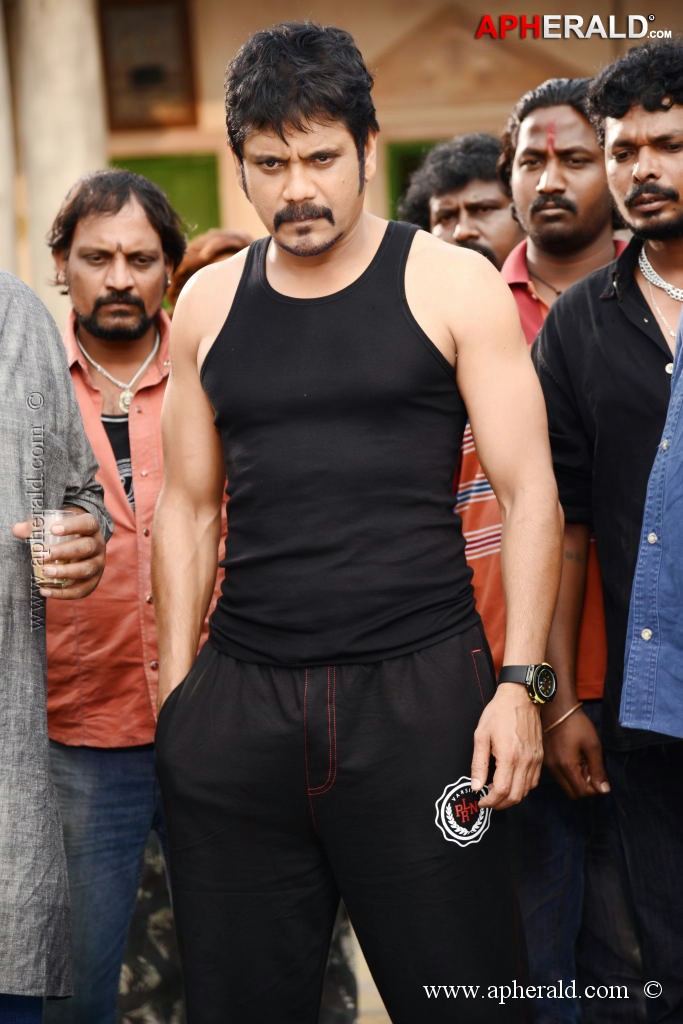 Nagarjuna in Bhai Movie Stills