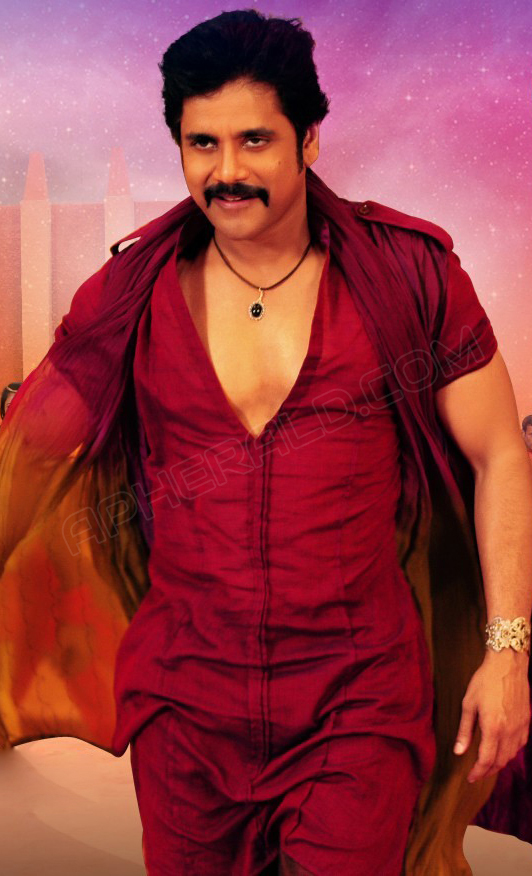 Nagarjuna Stills in Greeku Veerudu