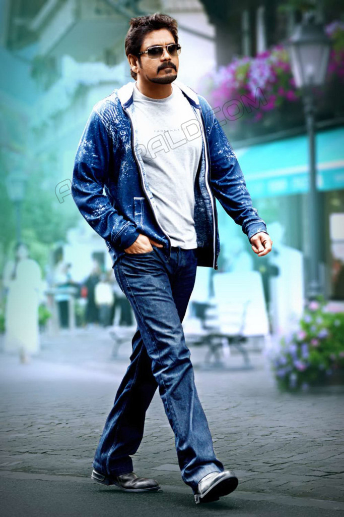 Nagarjuna Stills in Greeku Veerudu