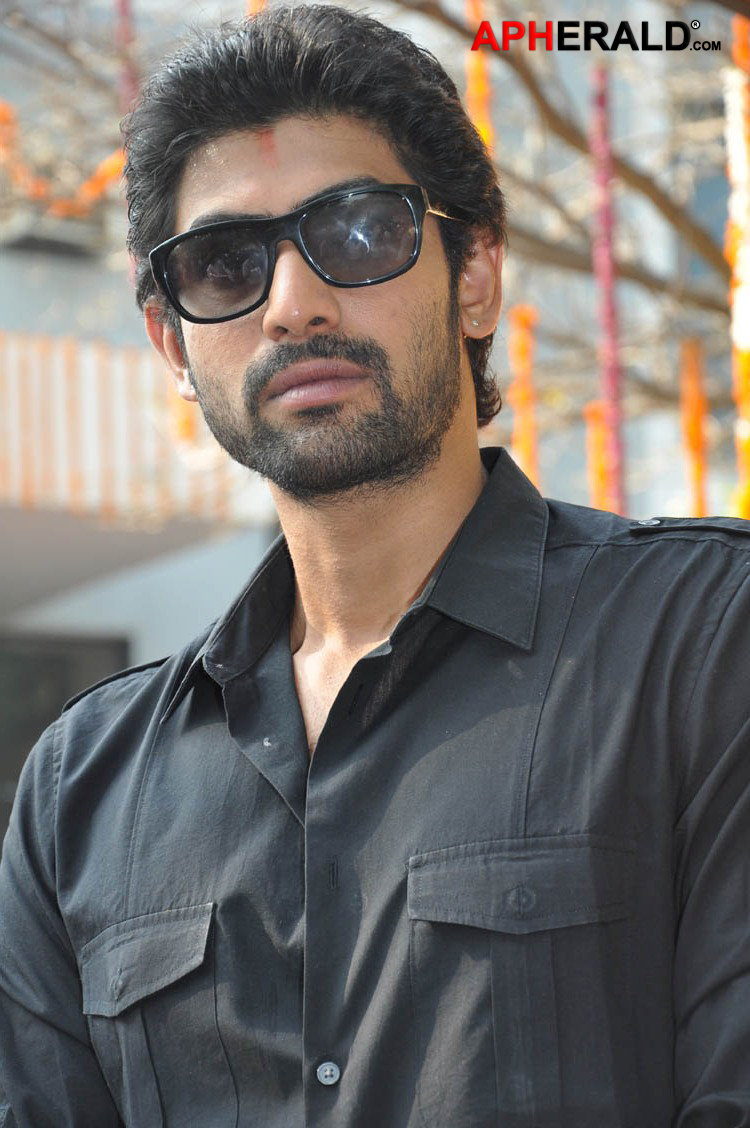 Rana