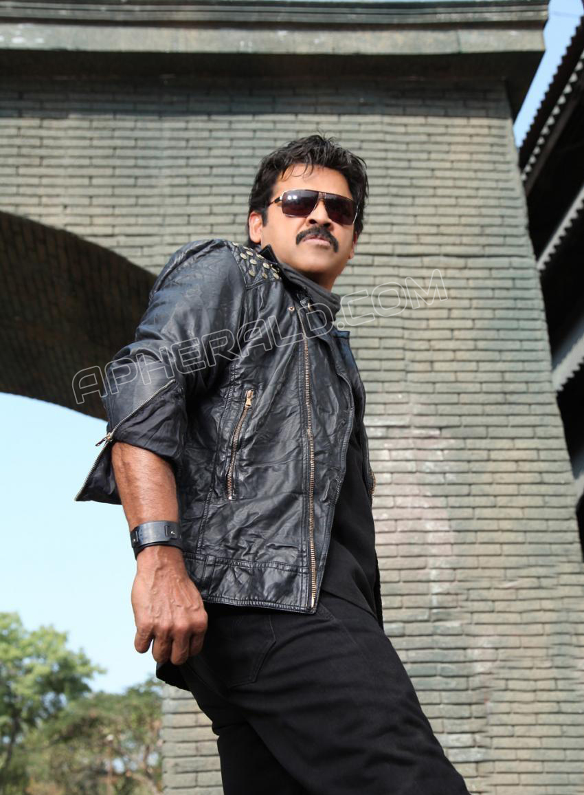 Venkatesh New Stills In Shadow