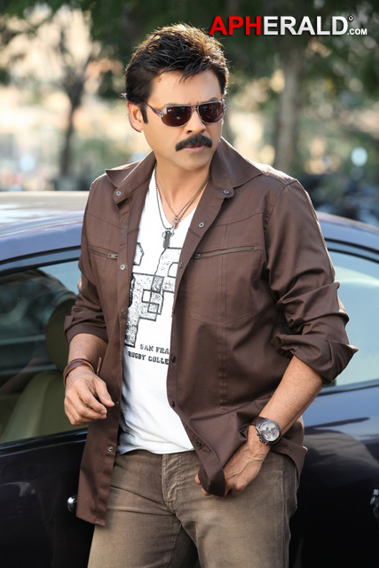 Venkatesh New Stills In Shadow