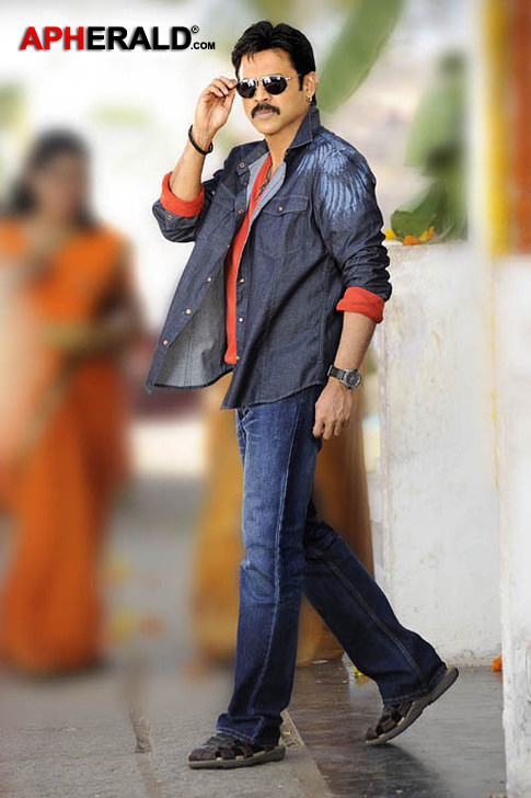 Venkatesh New Stills In Shadow