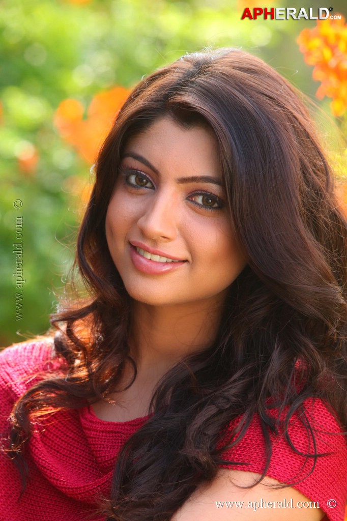 Akanksha Puri Latest Stills