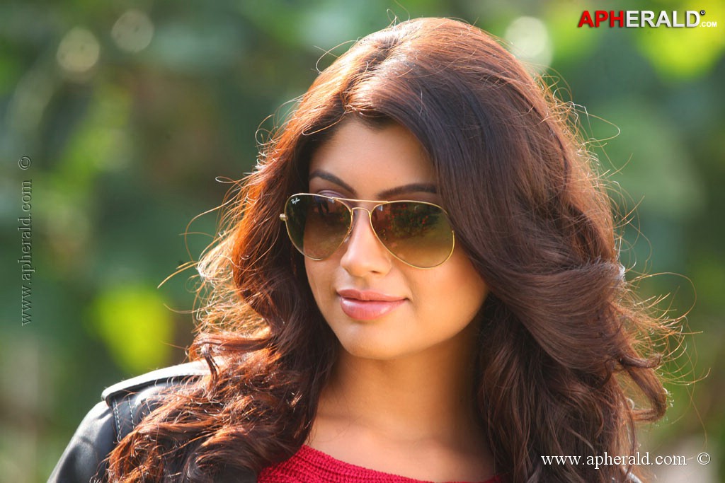 Akanksha Puri Latest Stills