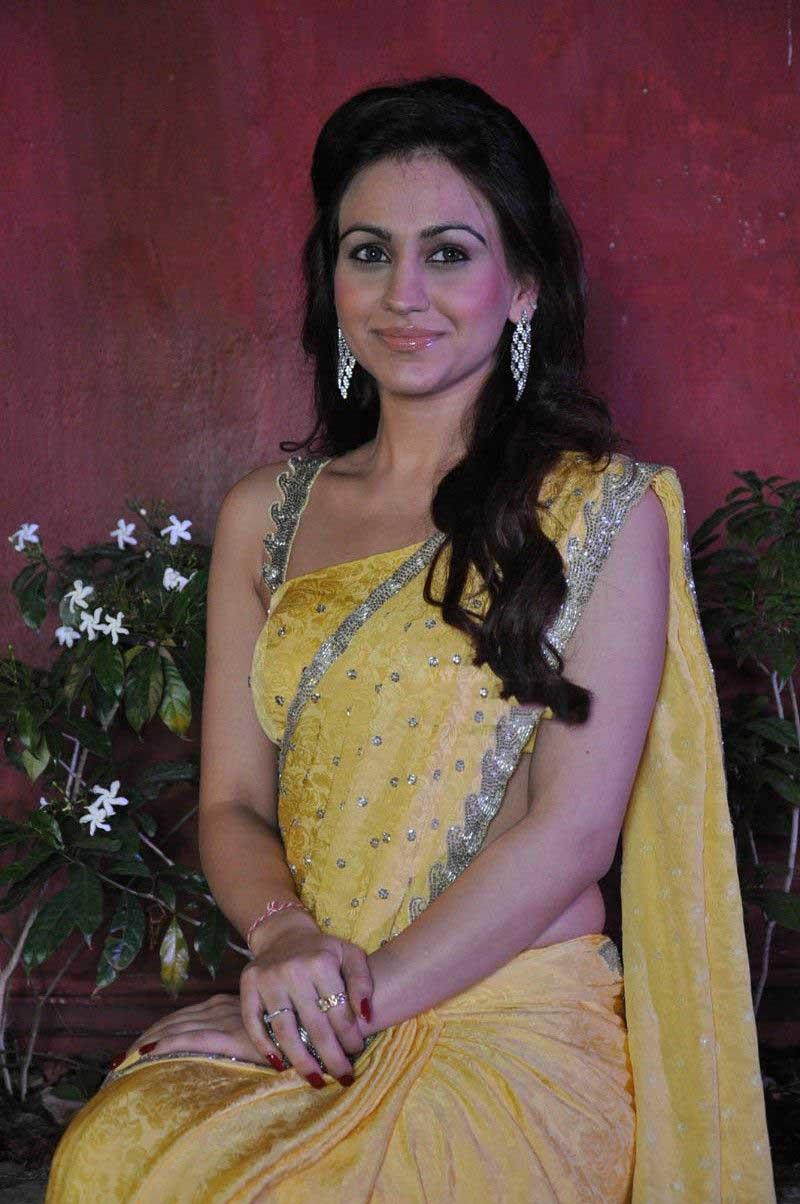 Aksha Pardasany Romantic Saree Photos
