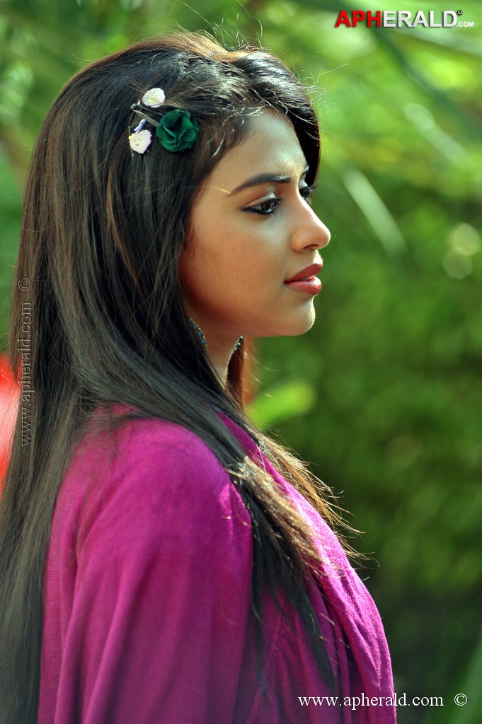Amala Paul Latest Stills