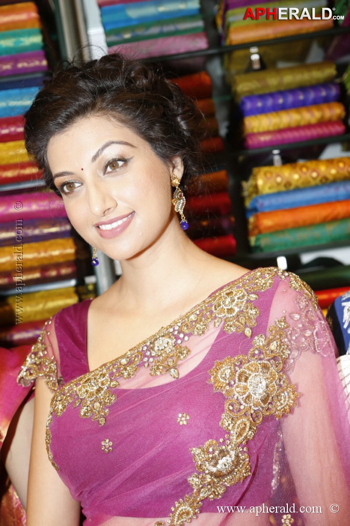 Hamsa Nandini Spicy Stills